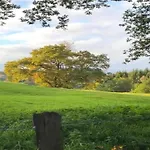 In Der Naehe Der Hessischen Berge Willingen (Upland)