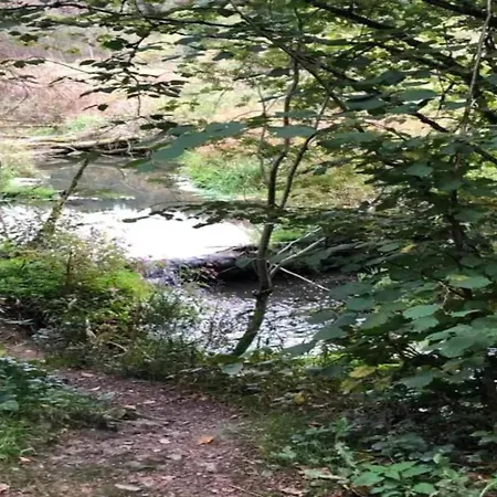 In Der Naehe Der Hessischen Berge Apartmán Willingen (Upland)