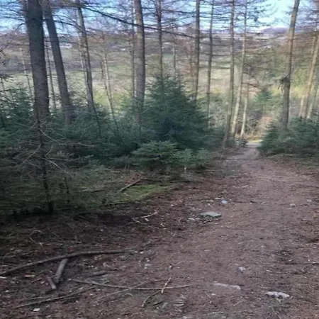 In Der Naehe Der Hessischen Berge