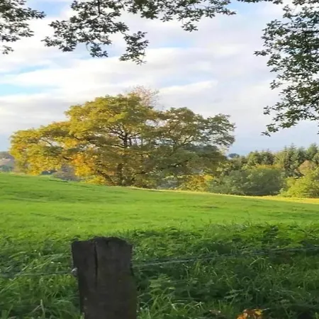 In Der Naehe Der Hessischen Berge Willingen (Upland)
